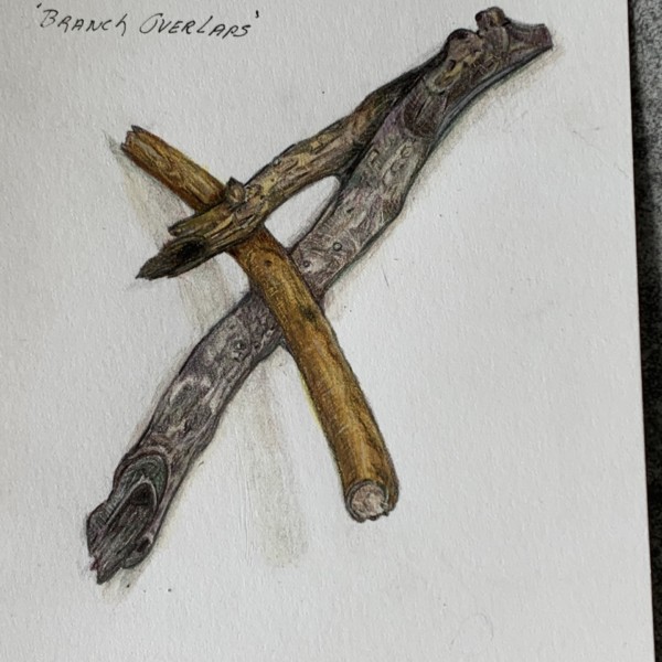 Lesson 1.  ‘BRANCH…overlaps’