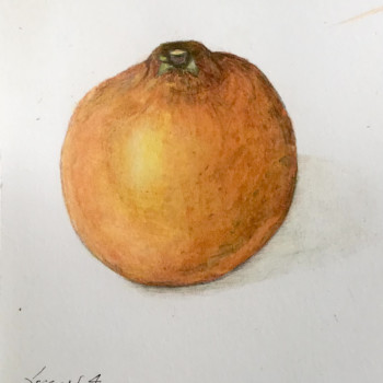 lesson-4-citrus-fruit-in-color