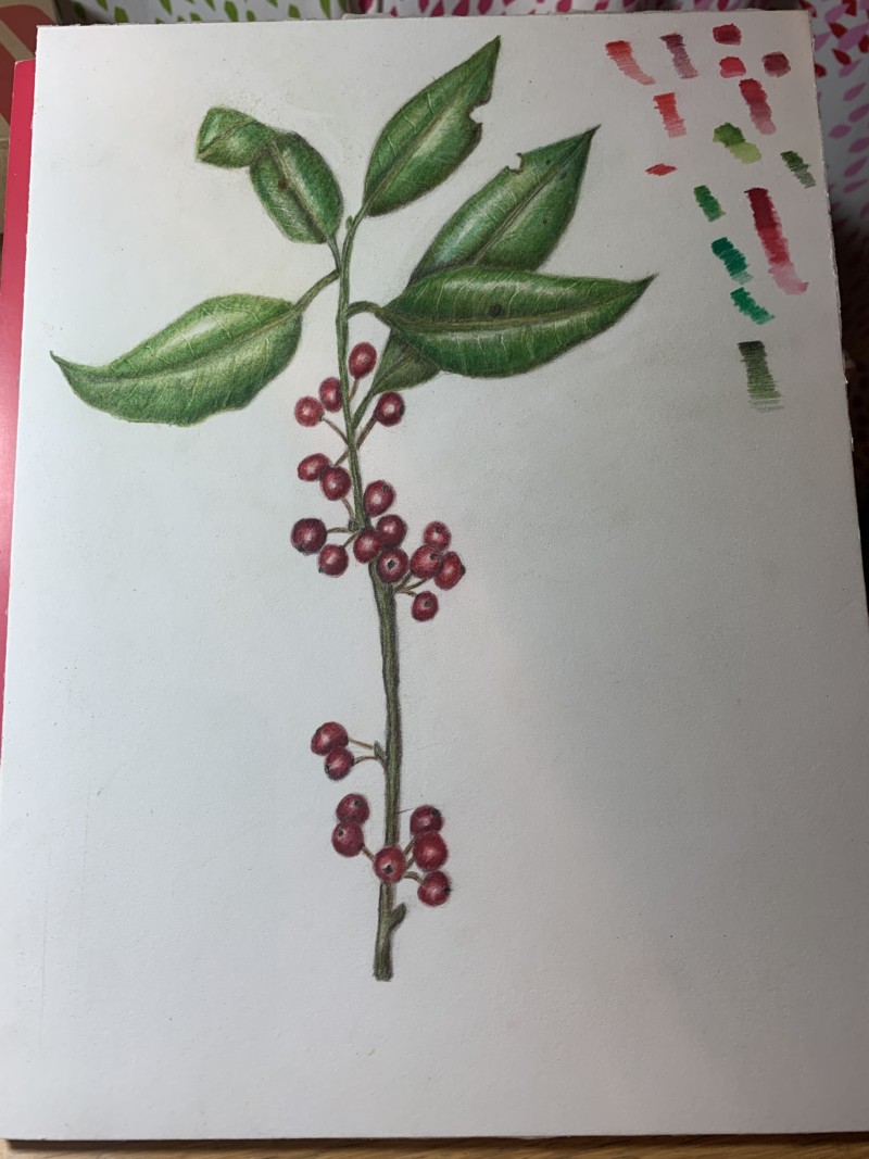 08e060d2-cbaf-470e-8bd8-13c854fee4ca