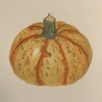 spotty-pumpkin-10-22