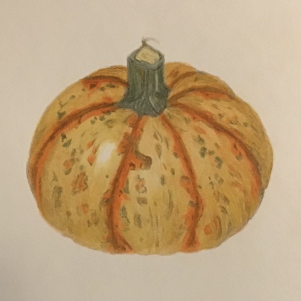 Spotty Pumpkin 10-22