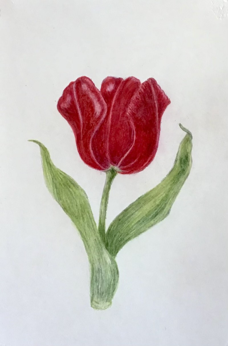 a-little-more-shading