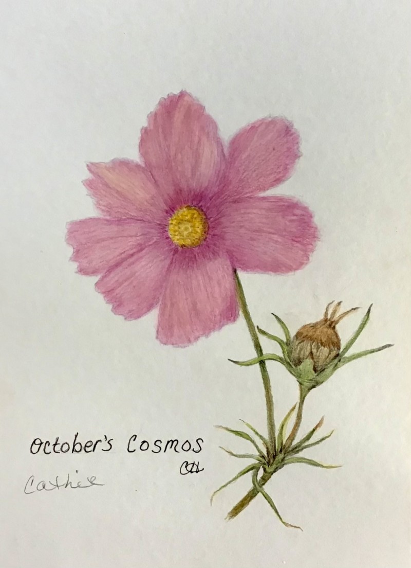 still-blooming-october-2021