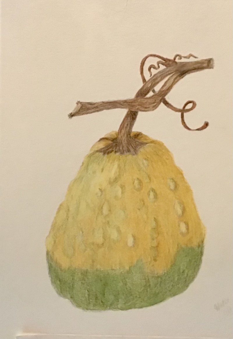 garden-gourd-september-2021