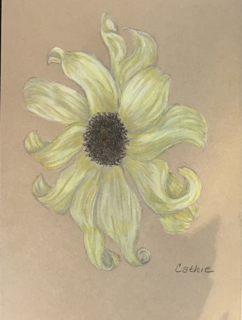 my-sunflower-october-2021