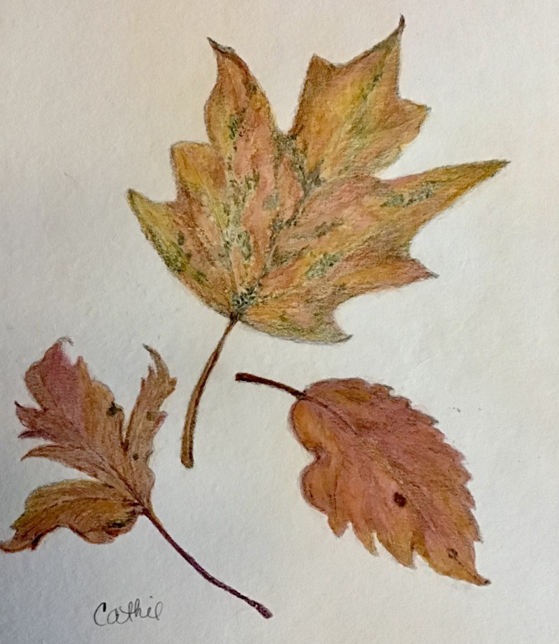 hudson-valley-autumn-october-2021