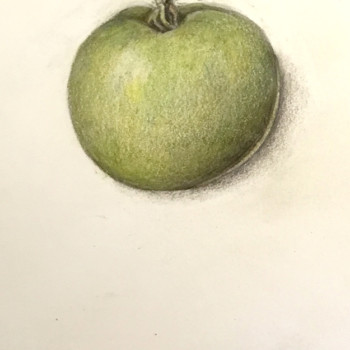lesson-15-adding-color-to-a-tomato-2