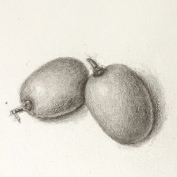 lesson-19-small-fruits-3