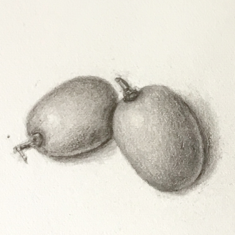 lesson-19-small-fruits-3