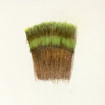 lesson-22-feather-2