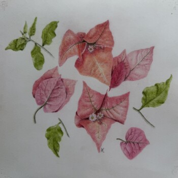 bougainvillea-29-mars-2026-1