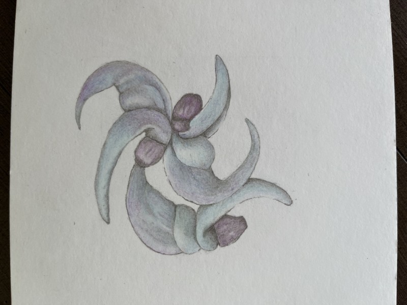 liane-de-jade