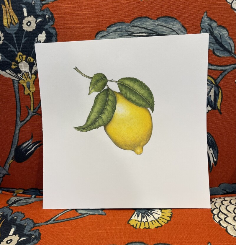 0c25e8e4-b15e-4971-9d0b-42fda576174c