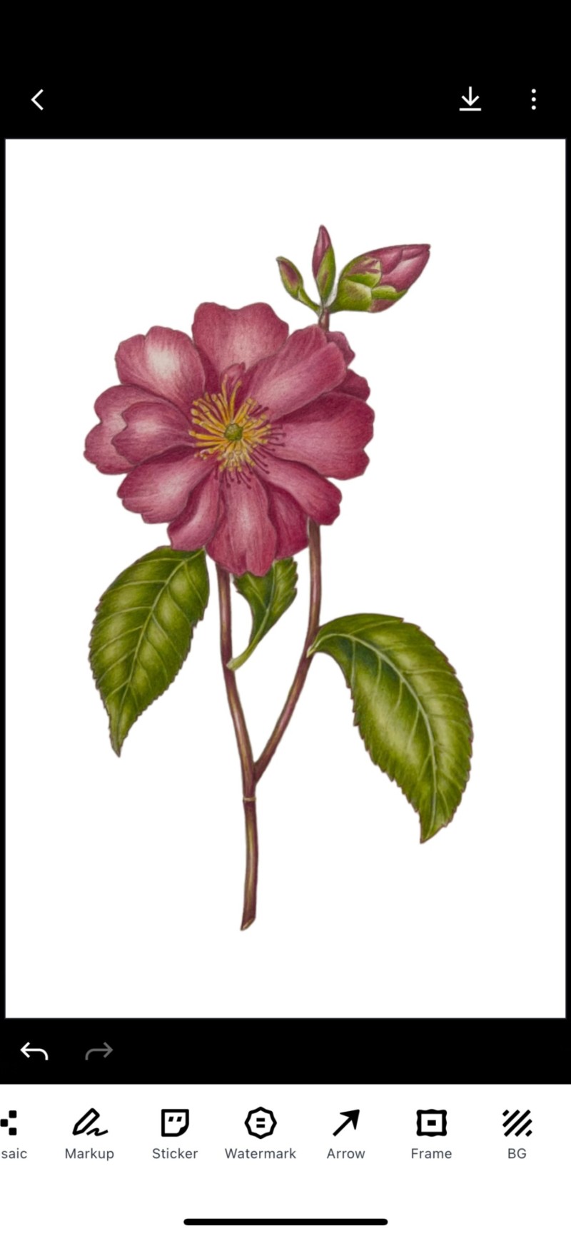 0e1a88d0-4e55-4b34-98fc-45e1a1f90b38