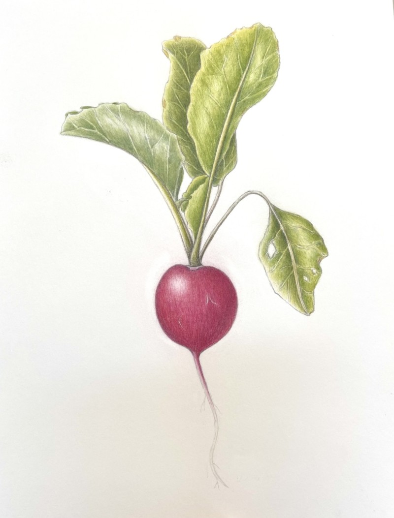 271d91dc-c480-460d-8bb2-f69c5565098c