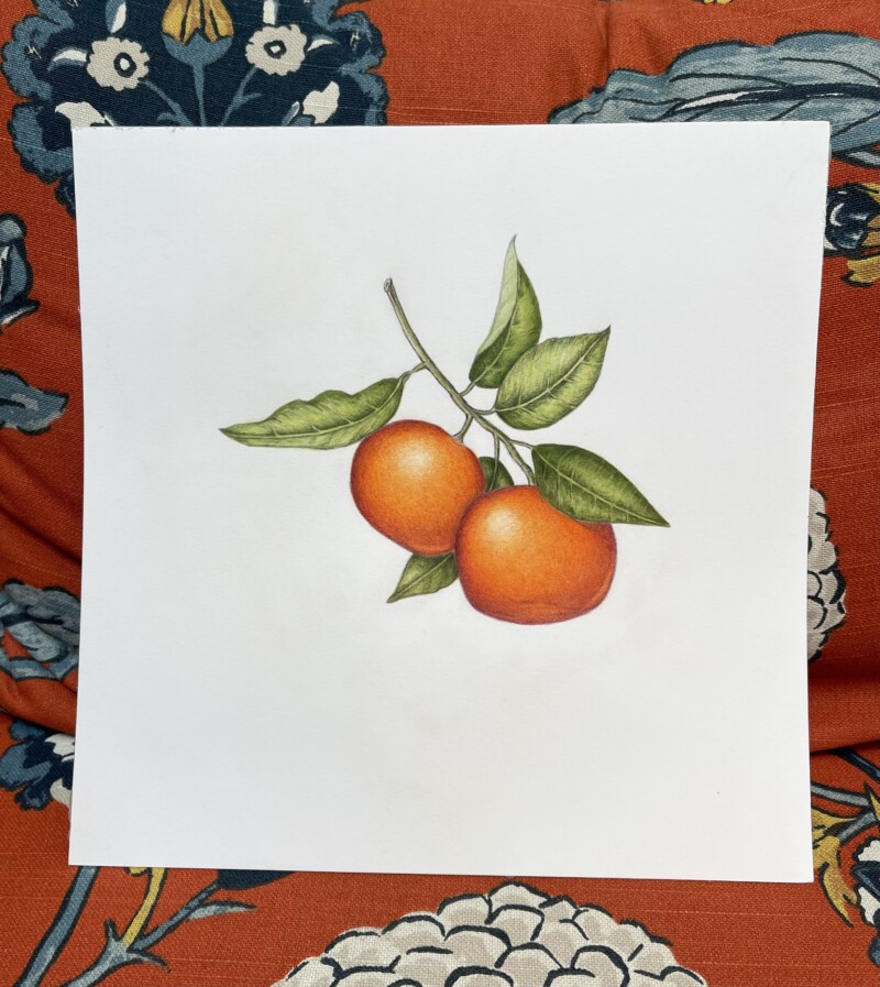 4aada455-f9a1-426c-ac09-9df30fe235b8