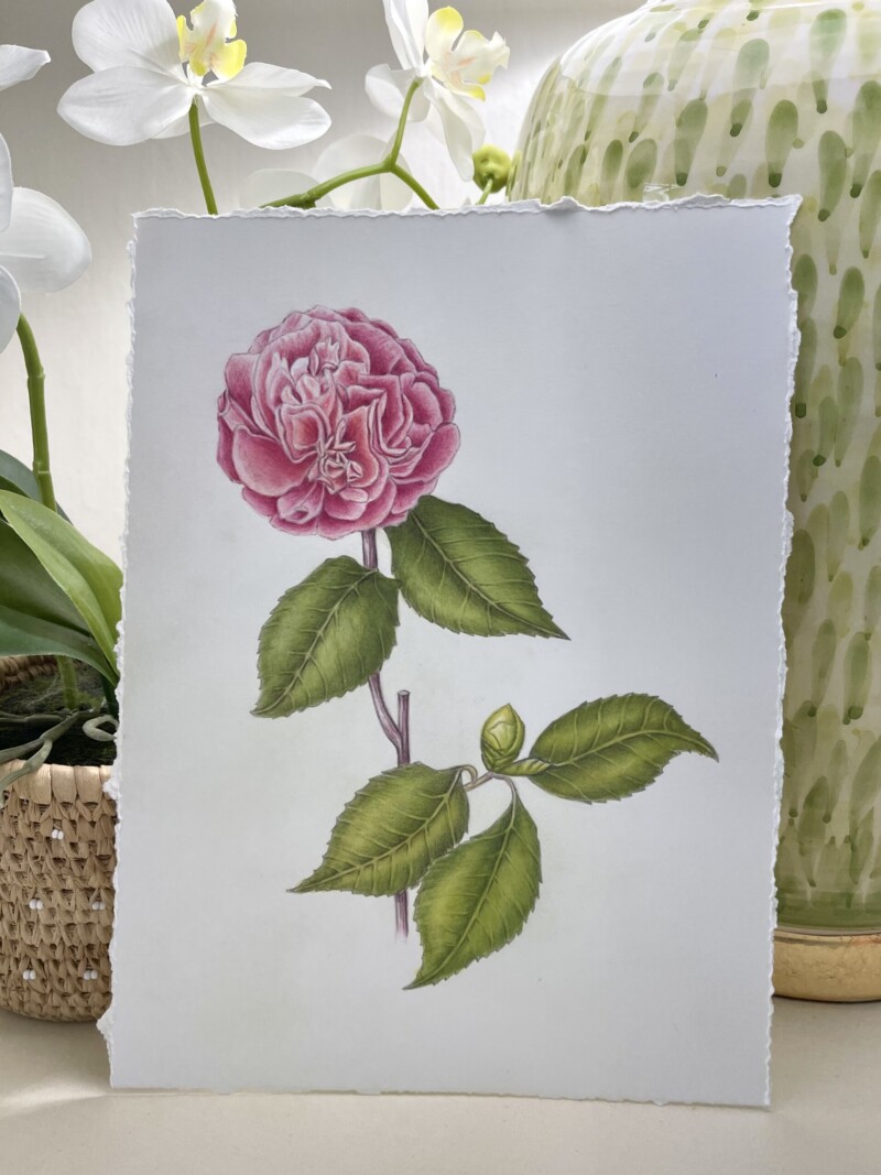 4e8059d1-bf1b-44bd-9c90-fb21c9f663f8