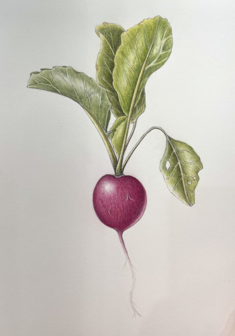 8363d319-1ef4-479f-9f39-057ffacd8c08