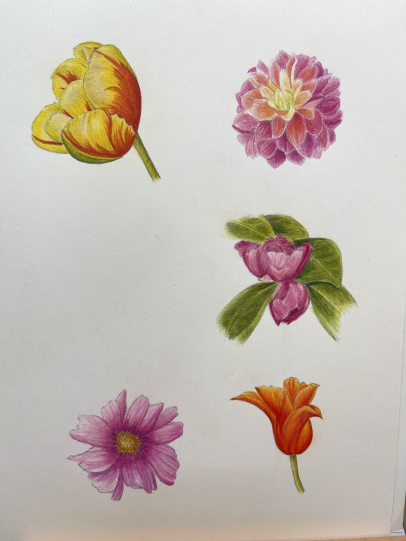 8594228a-29a4-4b2d-8fd7-bcc798fd72a9