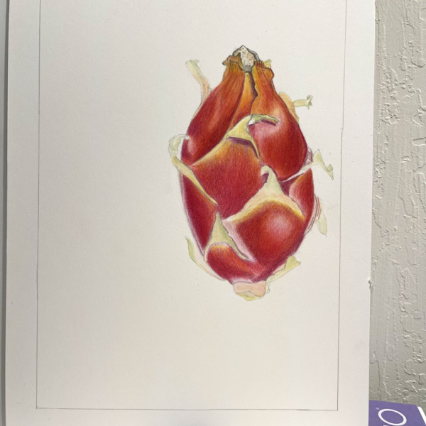 Dragon Fruit