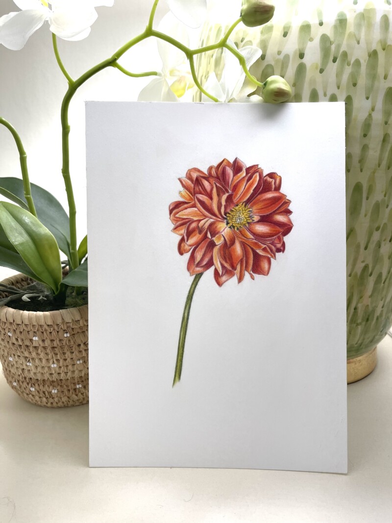 c1f2c8d4-dfc0-493b-b03a-569e4fd95836