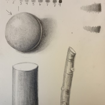 beginner-shading-toning-and-cast-shadow