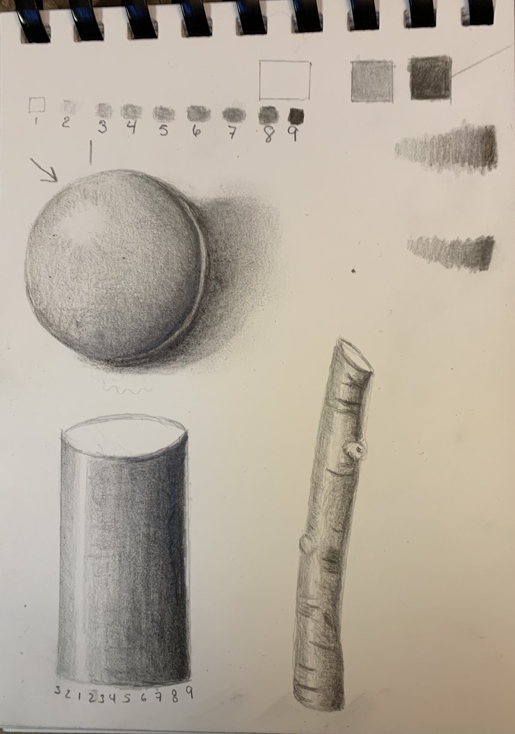 beginner-shading-toning-and-cast-shadow