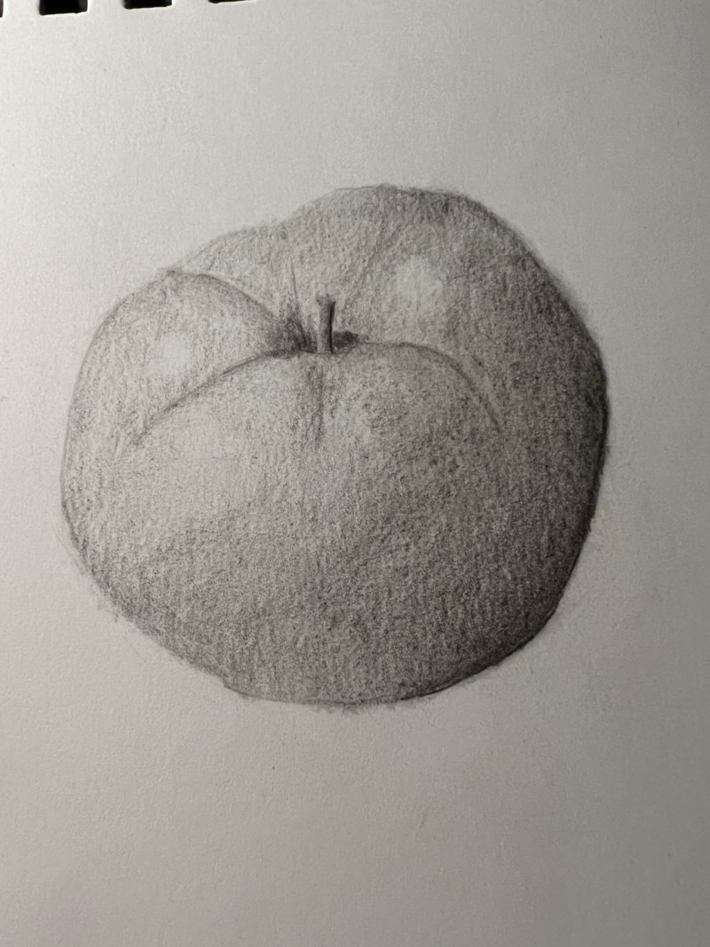tomato-4567876-lol