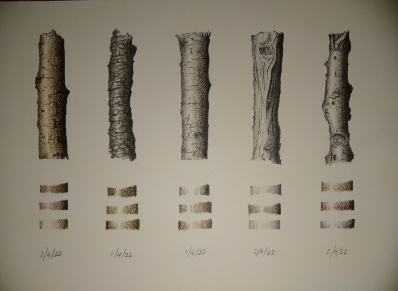 img_20220402_1324357632