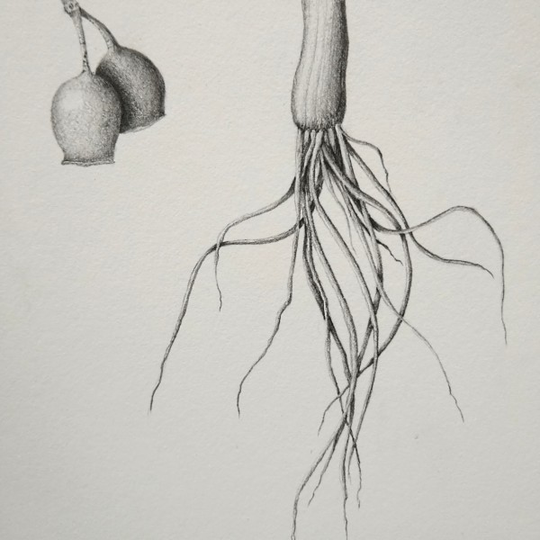 IMG_20220408_135840804~2