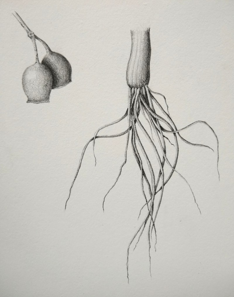 img_20220408_1358408042