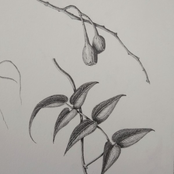 IMG_20220409_170937833~3