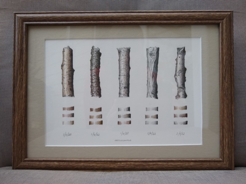 sticks