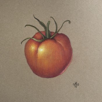 tomato-on-kraft-paper-7-17-7-19-2020