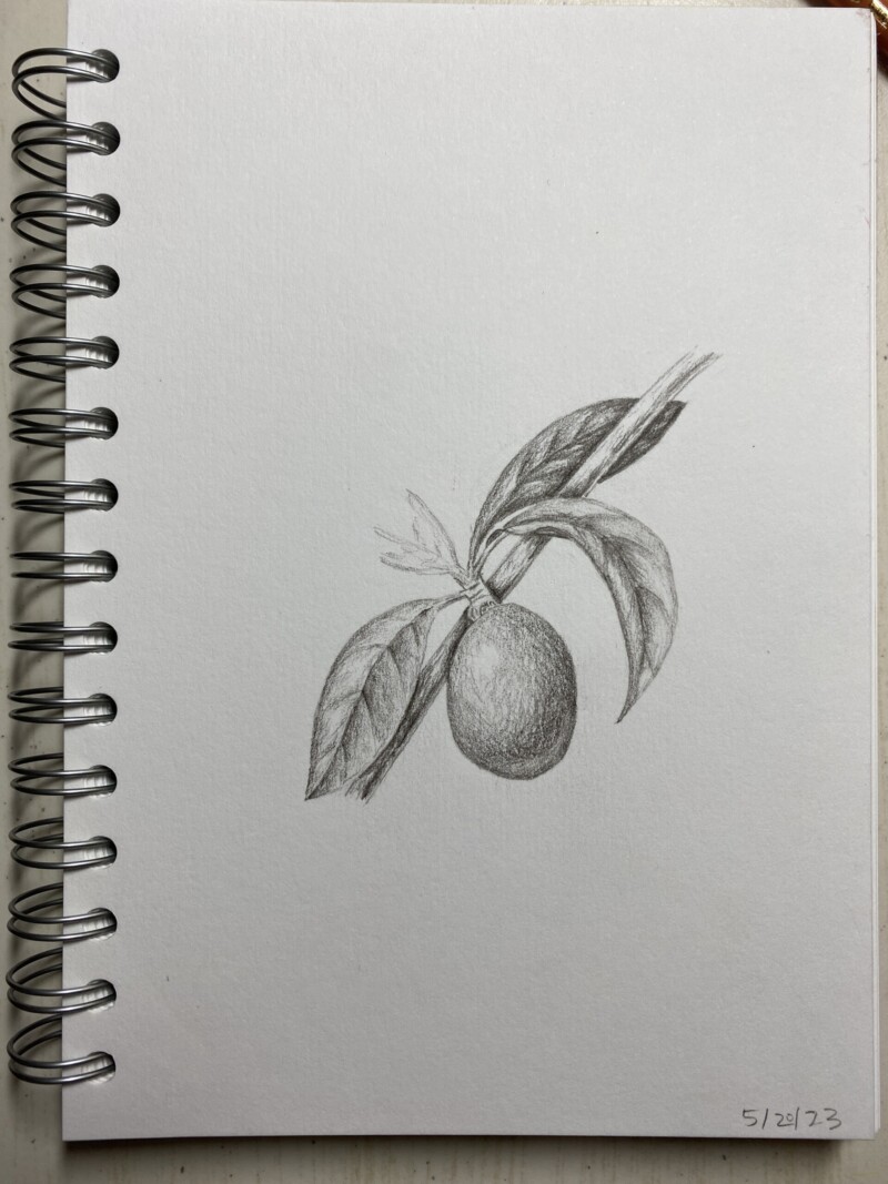 complex-overlaps-practice
