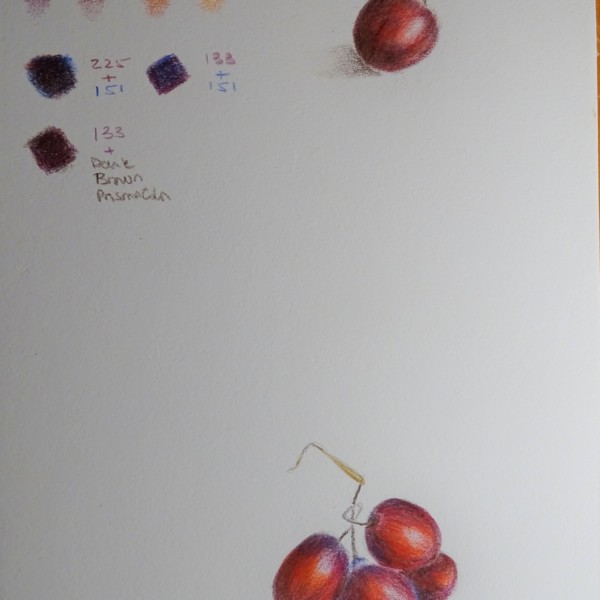 Red Grapes (1st drawing)