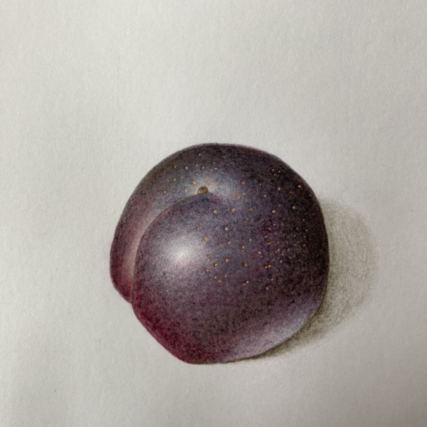 Dark plum