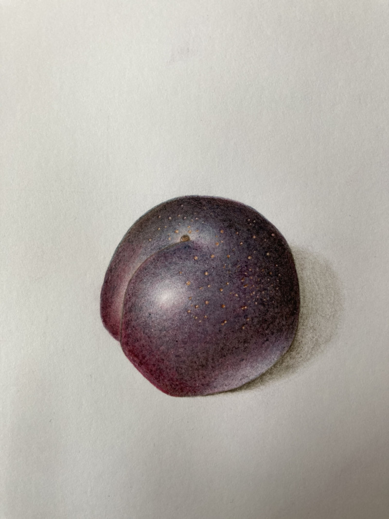 dark-plum