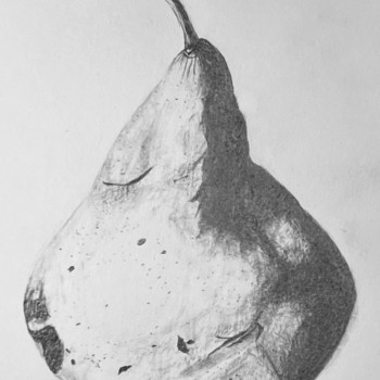 bosc-pear-view-2