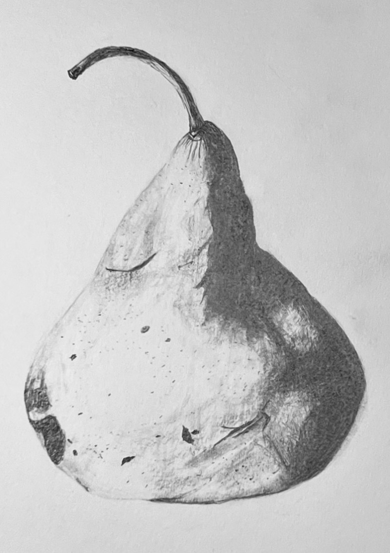 bosc-pear-view-2