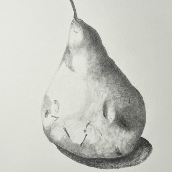 bosc-pear-view-1
