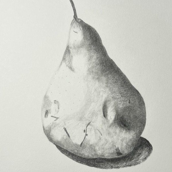 Bosc pear view 1