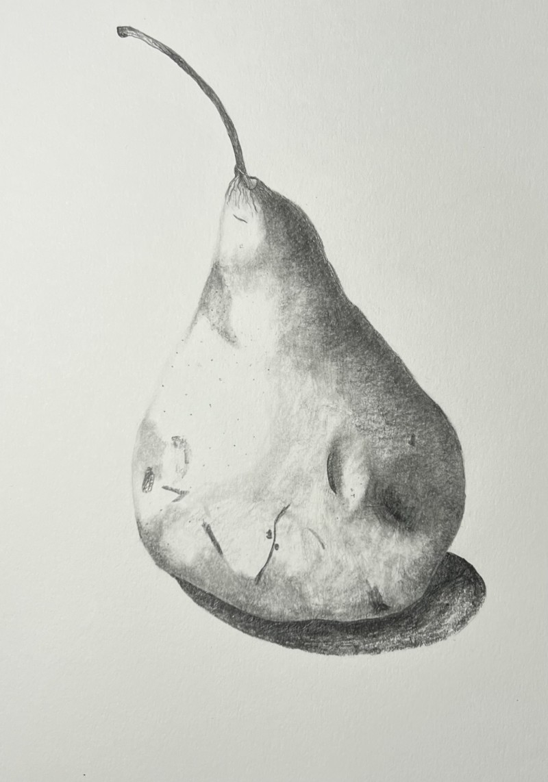 bosc-pear-view-1