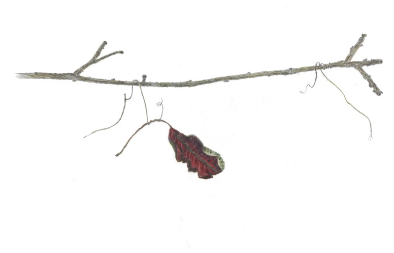 6183b6a0-dfcb-4fe0-aaba-03cfc31c03c9