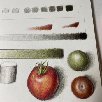 4a44bc51-f25a-4c42-bc54-d8cccd54b24b