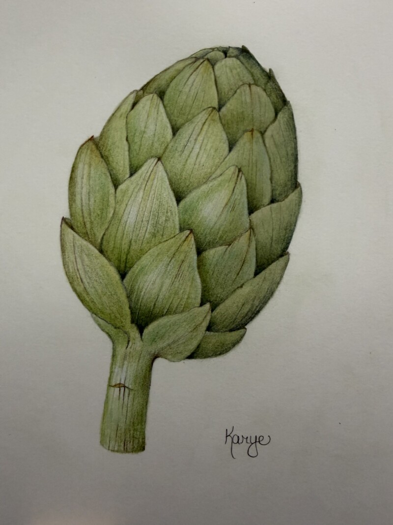 artichoke-from-workshop