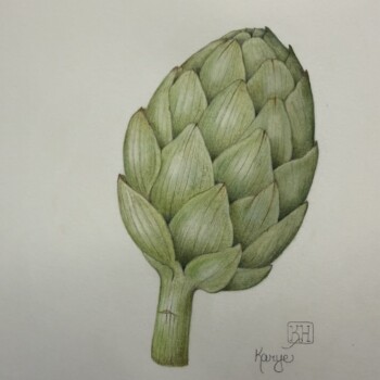 artichoke-with-some-revision-and-another-photo