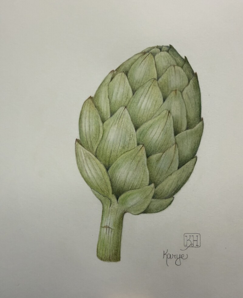 artichoke-with-some-revision-and-another-photo