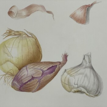 onion-garlic-and-shallot-from-workshop-papery-textures