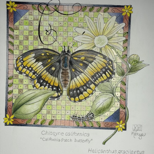 Illuminated butterfly mixed media